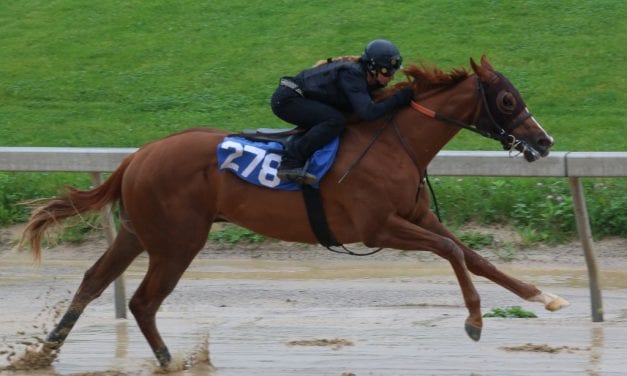 Fasig-Tipton: Delay a complication, but catalog looks strong