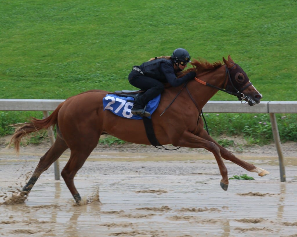 18EASMAY, Timonium–20180516 Fasig-Tipton sale