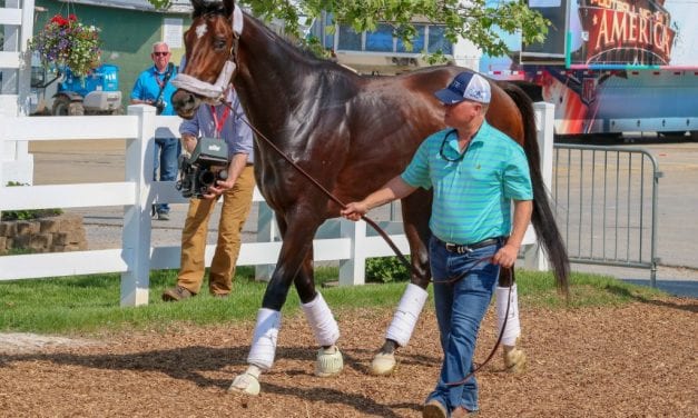 Preakness profiles: Tenfold