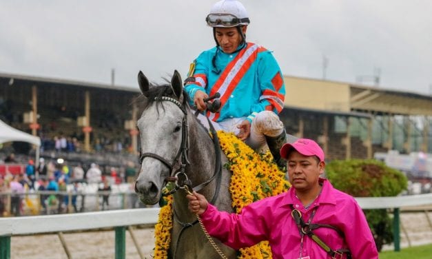 Black-Eyed Susan: Trainer Gorder gets back to top of sport