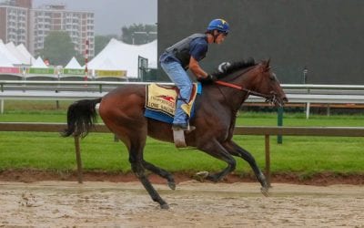 Preakness odds through Friday’s racing