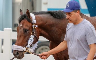 Maryland racing to recognize grooms
