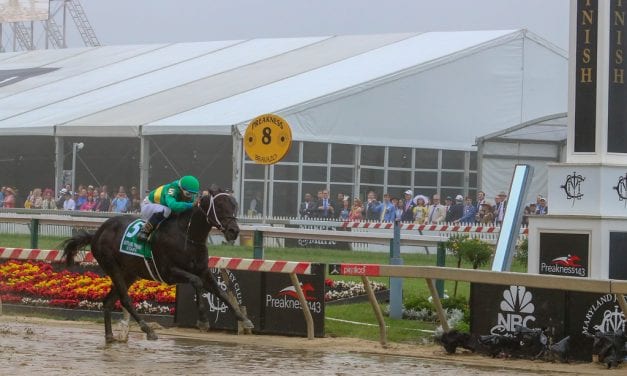 MATCH Series Star of the Week: Switzerland