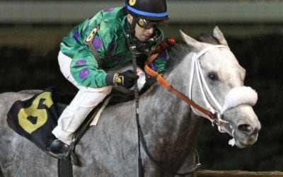 Court Date gives trainer Hanagan first stakes win