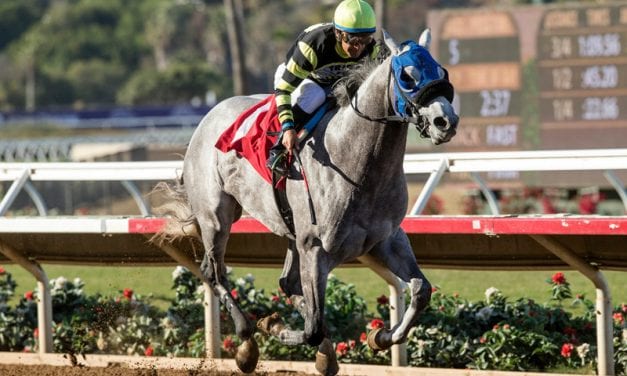 Greyvitos: From fire to surgery and back to racing