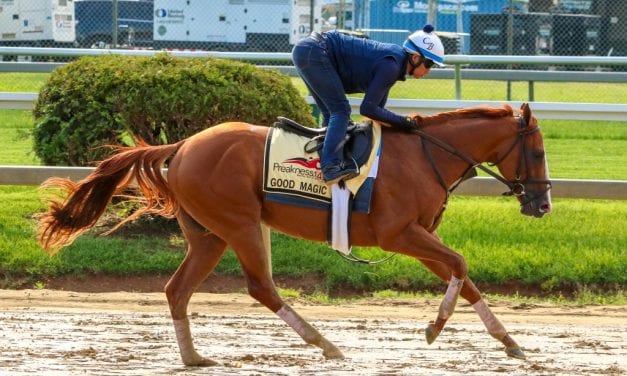 Preakness: Good Magic “ready” to turn tables