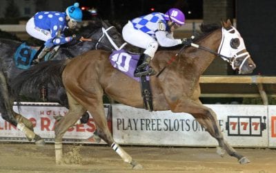 For Grams barn, what’s old is new again