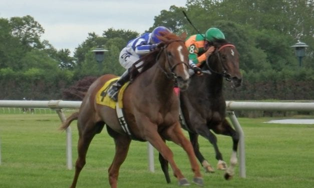 Delaware Park Racing Notebook 2018: Vol. 6