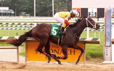 Delaware Park: Congrats Gal tops White Clay Creek