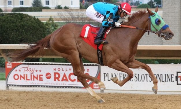 Hot Headed Gal cheated death, looks for second win