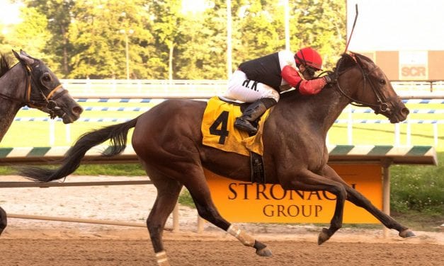 Split Time rolls in Alma North