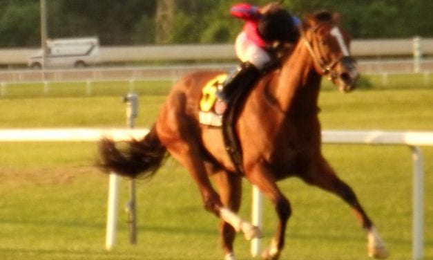 Hawkish flies to Penn Mile victory