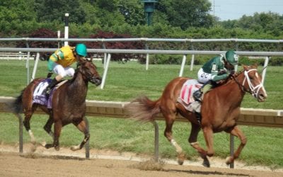For trainer Anthony Margotta, “a long way into the woods, a long way out”