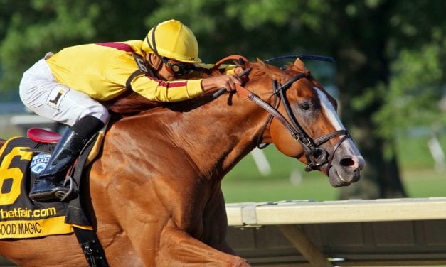 “Stronger, more mature” Good Magic easily best in Haskell