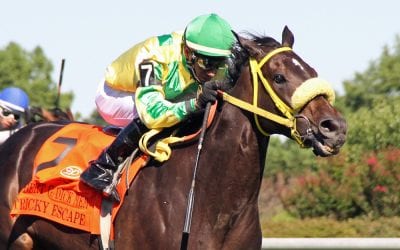 Tricky Escape powers to G3 Dick Memorial win