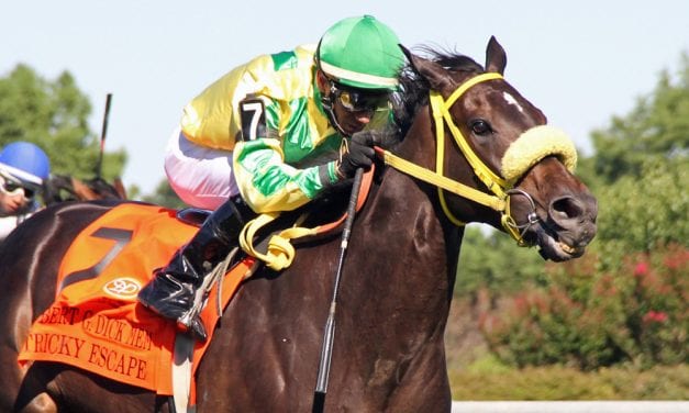 Tricky Escape powers to G3 Dick Memorial win
