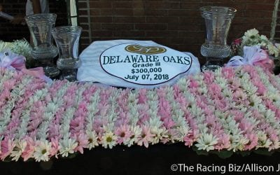 Delaware Oaks Day 2018 in pictures
