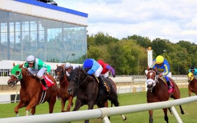 Jillian Tullock named MJC racing secretary