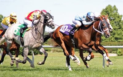 Jock Alex Cintron “feeling great” after first stakes win back