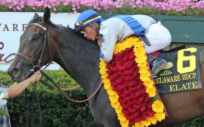 Delaware Handicap Day 2018 in pictures