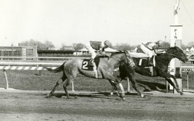 El Gran Senor, Caesar’s Wish named to Md. Hall of Fame