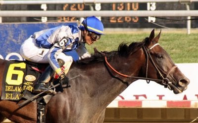 Delaware Park Racing Notebook 2018: Vol. 20