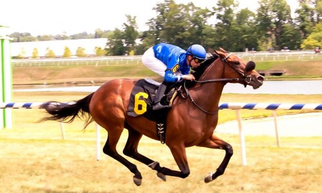 Godolphin juvenile filly Elsa romps at Laurel Park