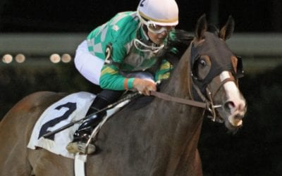 With Natural Odds, trainer Kolb hoping for productive summer