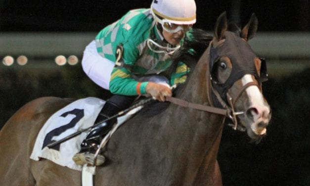 With Natural Odds, trainer Kolb hoping for productive summer