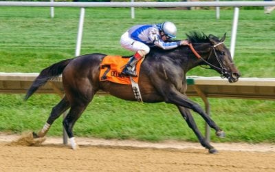 DelCap: Elate “ready to run” in season debut