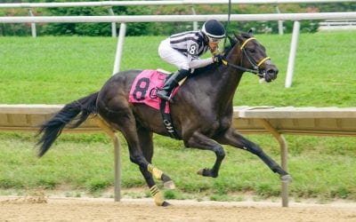 In “shocker,” Del. Commission overturns Pecoraro penalty