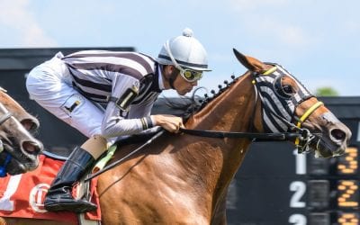 Johan Rosado: Learning from dad, and experience