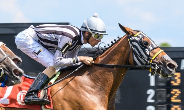 Johan Rosado: Learning from dad, and experience