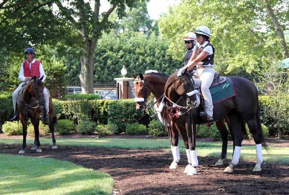 It’s Hammertime leads Capuano trio in Dover