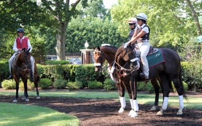 It’s Hammertime leads Capuano trio in Dover