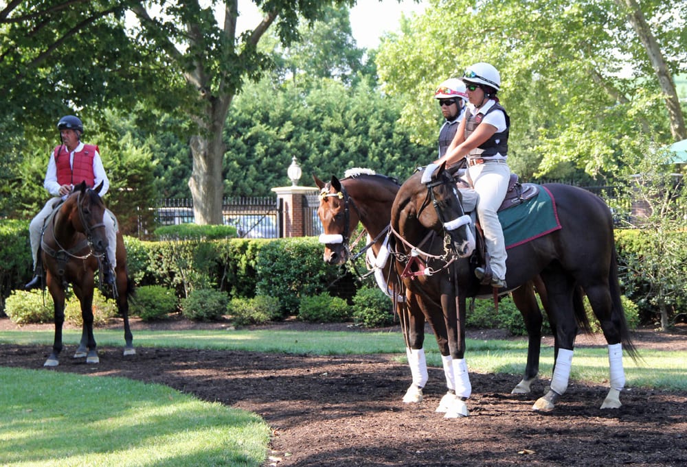 42750388974_72a9630470_o Delaware Handicap