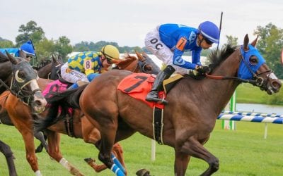 Weekend racing wrap: Dr. Feelgood, Skeptic, and more