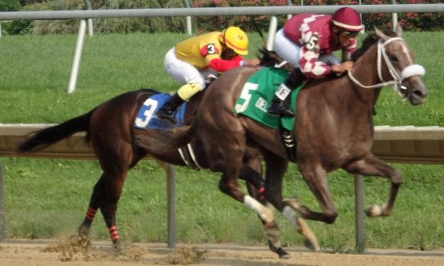 Equine Injury Database: Rate of equine fatalites drops