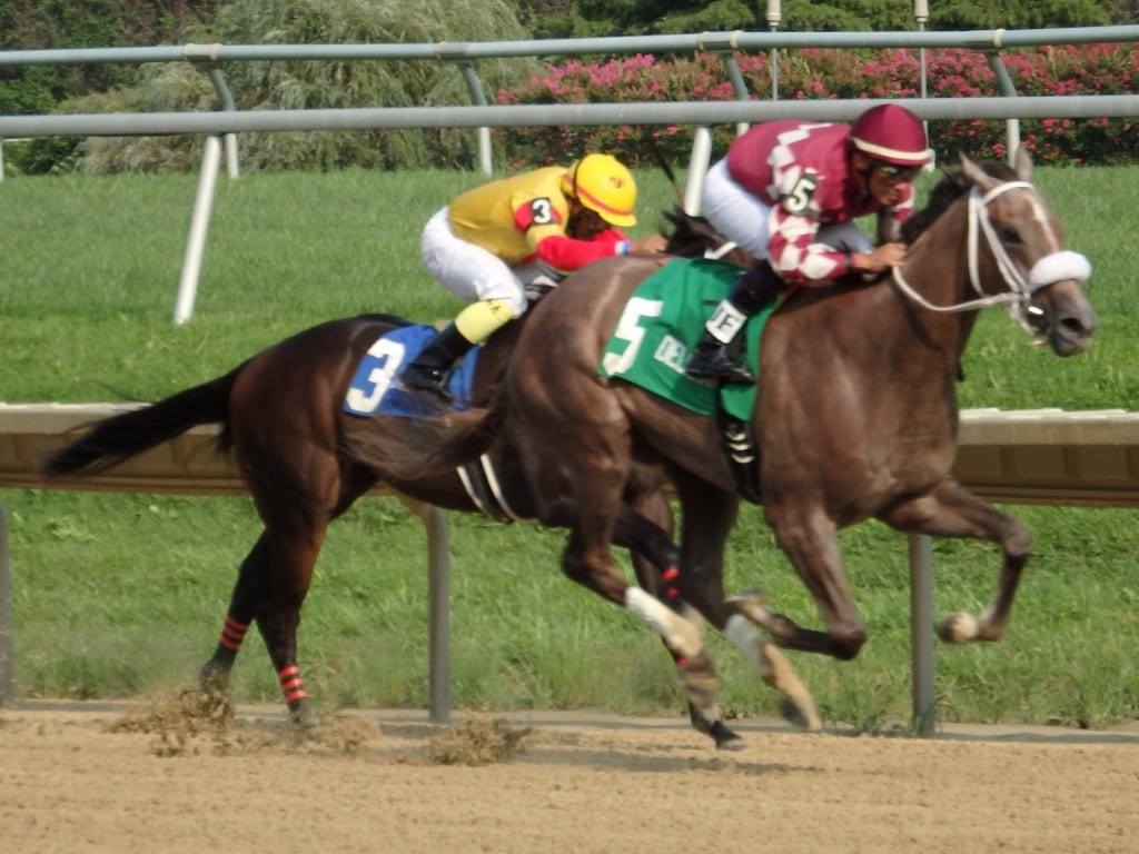 jaywalk-whiteclaycreek