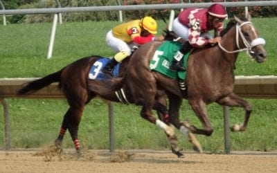 Jaywalk looks to get back on track in Delaware Oaks