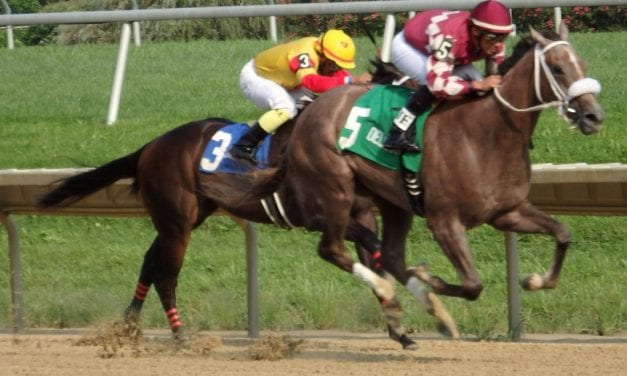 Jaywalk looks to get back on track in Delaware Oaks