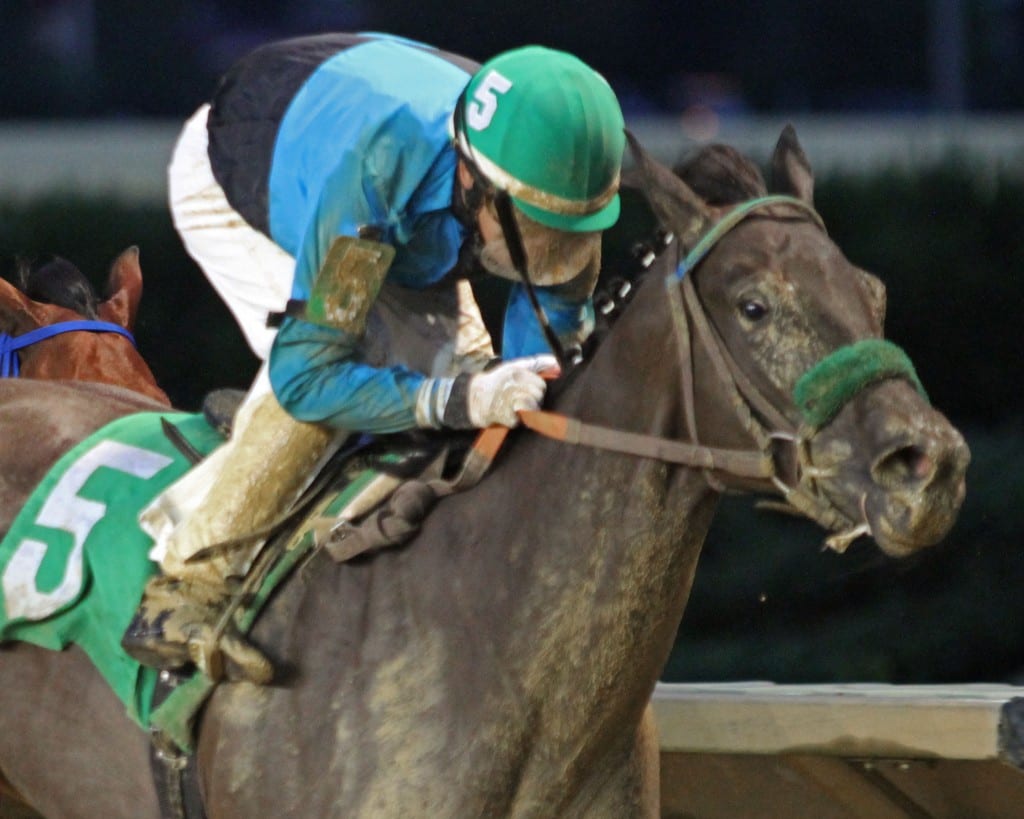 AMELIA BEDELIA – 09-08-18 – R01 – CT – Finish 2 Amelia Bedelia