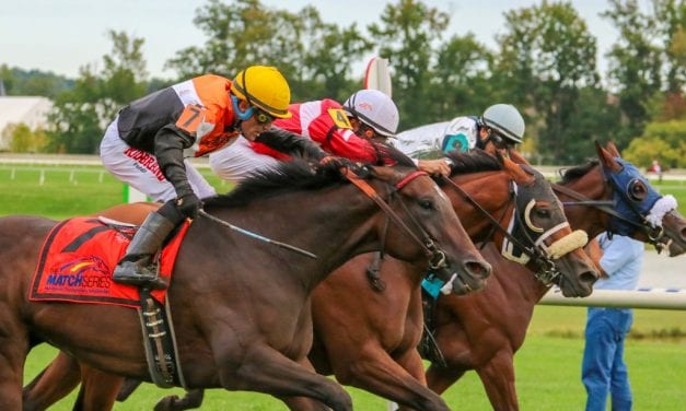 The thrill — or relief — of victory