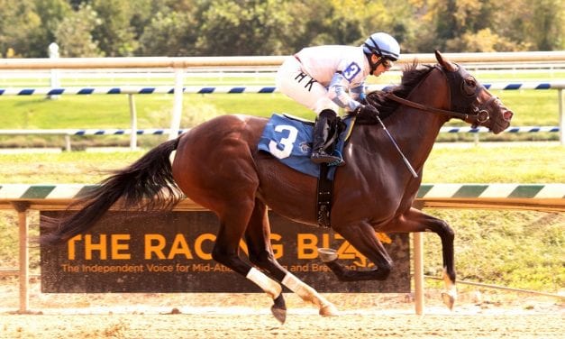 Laurel Park Notes: Free Kitty graduates in 14th try