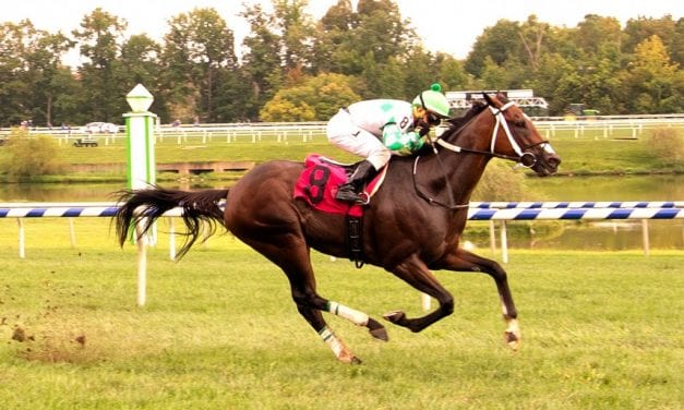 Sheikh of Sheiks cruises to fourth straight win