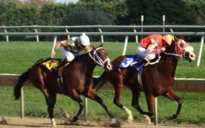 At Owners’ Day, jocks Piermarini, Hamilton steal the show