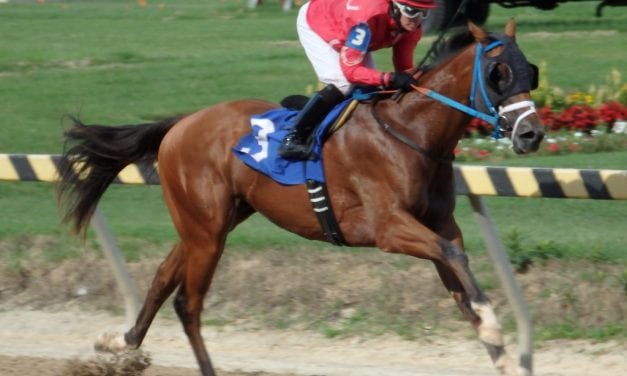 Timonium: Five wins and a change of venue for Erin Walker