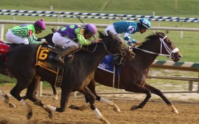 Charles Town Oaks field is full – and wide open