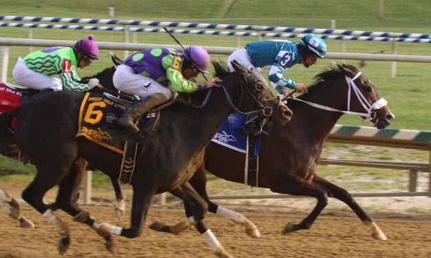 Charles Town Oaks field is full – and wide open