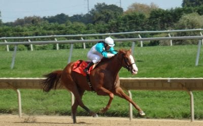 Unbridled Juan pulls upset in Delp Memorial